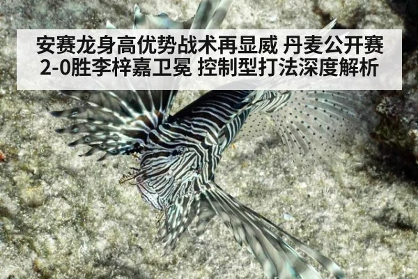 安赛龙身高优势战术再显威 丹麦公开赛2-0胜李梓嘉卫冕 控制型打法深度解析