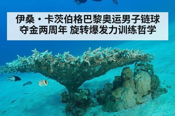 伊桑·卡茨伯格巴黎奥运男子链球夺金两周年 旋转爆发力训练哲学